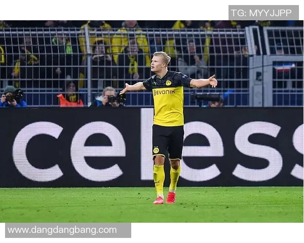 哈兰德仅售6000万多特转手桑乔贝林等五人获利达35亿